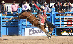 Bareback Bronc Riding - Senior