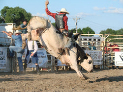 Bull Riding - Senior